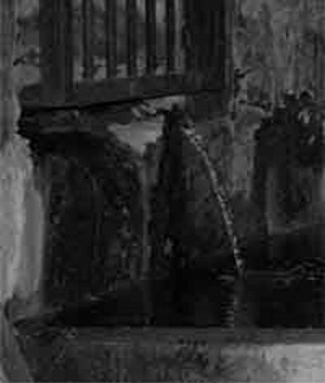 Imagen de escaleras hacia un bosque